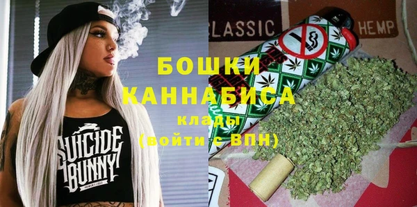 дмт Горняк