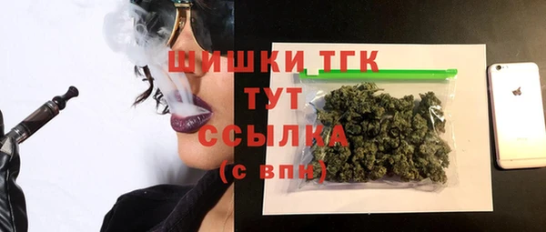 дмт Горняк