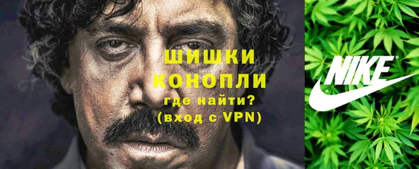 дмт Горняк