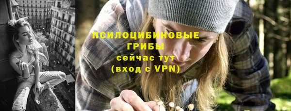 прущий лед Горно-Алтайск