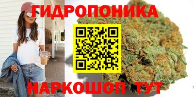 гашиш Гусиноозёрск