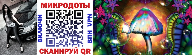 Псилоцибиновые грибы Cubensis Междуреченск