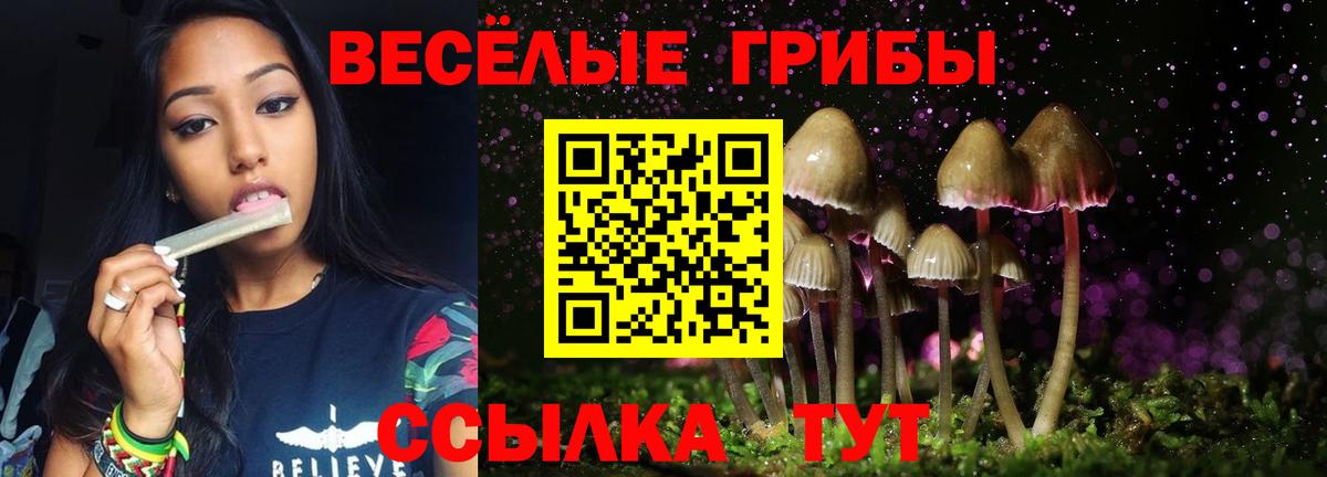 Галлюциногенные грибы Magic Shrooms Междуреченск