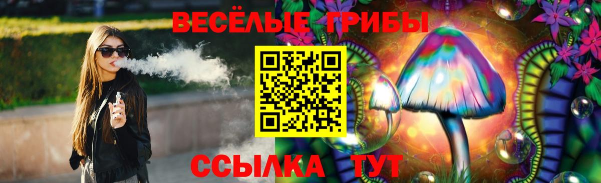 Галлюциногенные грибы мицелий  Вход с VPN  Псилоцибиновые грибы мицелий  Междуреченск 